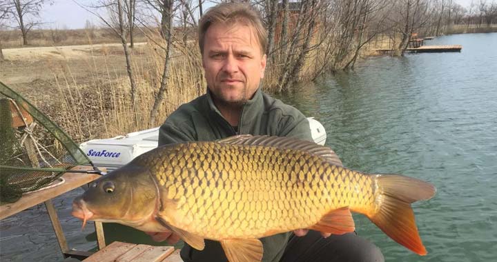 bodo-sandor-fishingworld-team-tagjanak-fogasai-majoshazi-harcsa-horgasztavon