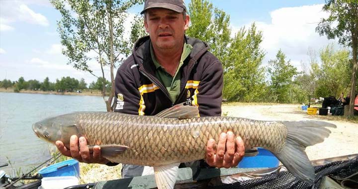 Részt vettünk a Horgásztó Harcsa 22 órás versenyen