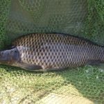 FB_IMG_1508827186753