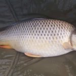 FB_IMG_1508827191575