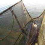 FB_IMG_1508827841068