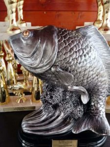 received_1609275725778190